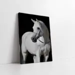 Beyaz At | Kanvas Tablo | Cam Tablo | Mdf Tablo | A32023