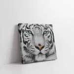 Siyah Beyaz Kaplan | Kanvas Tablo | Cam Tablo | Mdf Tablo | A32025