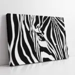 Yakın Çekim Zebra | Kanvas Tablo | Cam Tablo | Mdf Tablo | A32027