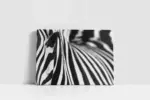 Yakın Çekim Zebra | Kanvas Tablo | Cam Tablo | Mdf Tablo | A32028 - Görsel 2