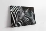 Yakın Çekim Zebra | Kanvas Tablo | Cam Tablo | Mdf Tablo | A32029