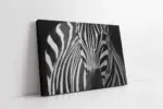Yakın Çekim Zebra | Kanvas Tablo | Cam Tablo | Mdf Tablo | A32030