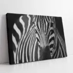 Yakın Çekim Zebra | Kanvas Tablo | Cam Tablo | Mdf Tablo | A32030