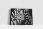 Yakın Çekim Zebra | Kanvas Tablo | Cam Tablo | Mdf Tablo | A32030 - Görsel 2