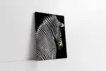 Yakın Çekim Zebra | Kanvas Tablo | Cam Tablo | Mdf Tablo | A32031