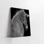 Yakın Çekim Zebra | Kanvas Tablo | Cam Tablo | Mdf Tablo | A32031