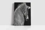 Yakın Çekim Zebra | Kanvas Tablo | Cam Tablo | Mdf Tablo | A32031 - Görsel 2