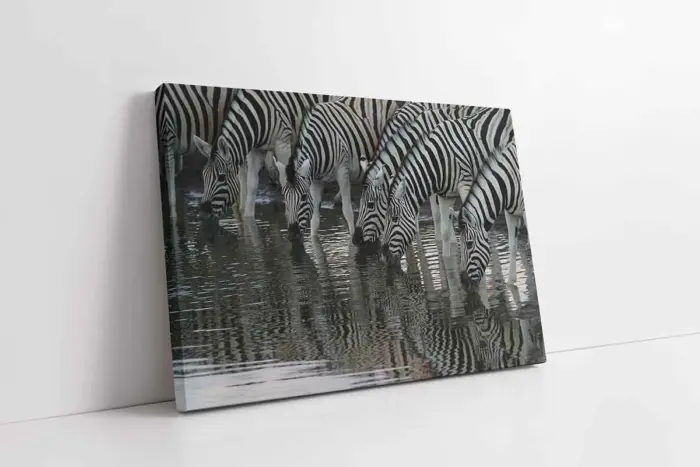 Zebra Sürüsü | Kanvas Tablo | Cam Tablo | Mdf Tablo | A32033 - Görsel 1