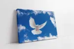 Beyaz Güvercinler | Kanvas Tablo | Cam Tablo | Mdf Tablo | A32043