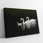 Beyaz Kuğu | Kanvas Tablo | Cam Tablo | Mdf Tablo | A32048