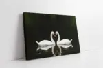 Beyaz Kuğu | Kanvas Tablo | Cam Tablo | Mdf Tablo | A32050