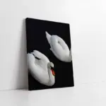 Beyaz Kuğu | Kanvas Tablo | Cam Tablo | Mdf Tablo | A32051