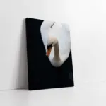 Beyaz Kuğu | Kanvas Tablo | Cam Tablo | Mdf Tablo | A32052
