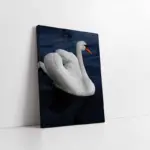 Beyaz Kuğu | Kanvas Tablo | Cam Tablo | Mdf Tablo | A32053