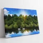 Beyaz Kuğu | Kanvas Tablo | Cam Tablo | Mdf Tablo | A32055