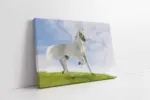 Koşan Beyaz At | Kanvas Tablo | Cam Tablo | Mdf Tablo | A32056