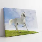 Koşan Beyaz At | Kanvas Tablo | Cam Tablo | Mdf Tablo | A32056