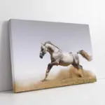 Koşan Beyaz At | Kanvas Tablo | Cam Tablo | Mdf Tablo | A32059