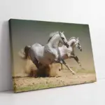 Koşan Beyaz At | Kanvas Tablo | Cam Tablo | Mdf Tablo | A32061