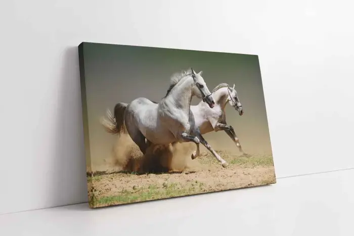 Koşan Beyaz At | Kanvas Tablo | Cam Tablo | Mdf Tablo | A32061 - Görsel 1