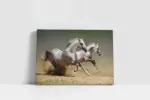 Koşan Beyaz At | Kanvas Tablo | Cam Tablo | Mdf Tablo | A32061 - Görsel 2