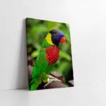 Rengarenk Papağan | Kanvas Tablo | Cam Tablo | Mdf Tablo | A32063