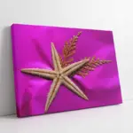 Deniz Yıldızı | Kanvas Tablo | Cam Tablo | Mdf Tablo | A32064