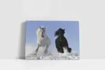 Koşan Atlar | Kanvas Tablo | Cam Tablo | Mdf Tablo | A32066 - Görsel 2