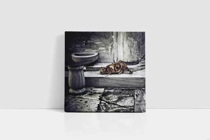 Kedi | Kanvas Tablo | Cam Tablo | Mdf Tablo | A32069 - Görsel 2