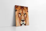 Yakın Çekim Aslan | Kanvas Tablo | Cam Tablo | Mdf Tablo | A32070