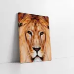 Yakın Çekim Aslan | Kanvas Tablo | Cam Tablo | Mdf Tablo | A32070