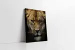 Yakın Çekim Aslan | Kanvas Tablo | Cam Tablo | Mdf Tablo | A32071