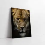 Yakın Çekim Aslan | Kanvas Tablo | Cam Tablo | Mdf Tablo | A32071
