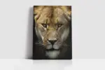 Yakın Çekim Aslan | Kanvas Tablo | Cam Tablo | Mdf Tablo | A32071 - Görsel 2