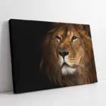 Yakın Çekim Aslan | Kanvas Tablo | Cam Tablo | Mdf Tablo | A32073