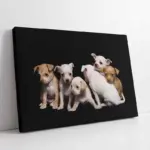 Köpek Yavrusu | Kanvas Tablo | Cam Tablo | Mdf Tablo | A32077