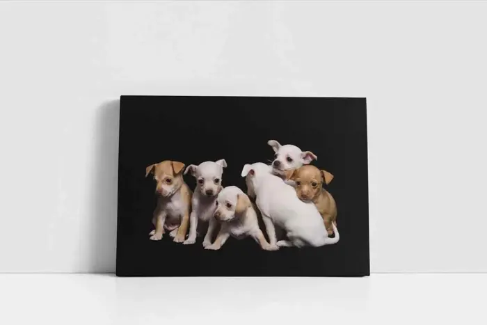 Köpek Yavrusu | Kanvas Tablo | Cam Tablo | Mdf Tablo | A32077 - Görsel 2