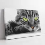 Siyah Beyaz Kedi | Kanvas Tablo | Cam Tablo | Mdf Tablo | A32081