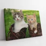 Kedi Yavrusu | Kanvas Tablo | Cam Tablo | Mdf Tablo | A32082