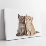 Kedi Yavrusu | Kanvas Tablo | Cam Tablo | Mdf Tablo | A32084