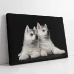 Beyaz Köpek | Kanvas Tablo | Cam Tablo | Mdf Tablo | A32088