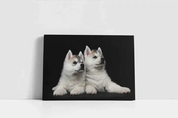 Beyaz Köpek | Kanvas Tablo | Cam Tablo | Mdf Tablo | A32088 - Görsel 2