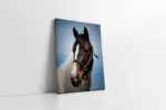 Yakın Çekim At | Kanvas Tablo | Cam Tablo | Mdf Tablo | A32092