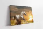 Koşan Beyaz At | Kanvas Tablo | Cam Tablo | Mdf Tablo | A32094