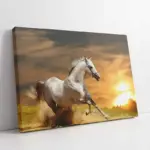Koşan Beyaz At | Kanvas Tablo | Cam Tablo | Mdf Tablo | A32094