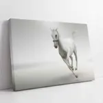 Koşan Beyaz At | Kanvas Tablo | Cam Tablo | Mdf Tablo | A32097