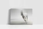 Koşan Beyaz At | Kanvas Tablo | Cam Tablo | Mdf Tablo | A32097 - Görsel 2
