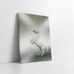 Şaha Kalkmış At | Kanvas Tablo | Cam Tablo | Mdf Tablo | A32098