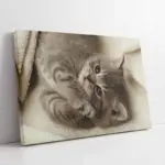 Kedi Yavrusu | Kanvas Tablo | Cam Tablo | Mdf Tablo | A32101