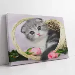 Kedi Yavrusu | Kanvas Tablo | Cam Tablo | Mdf Tablo | A32105